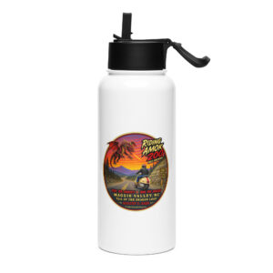 Dragon 200 Stainless Steel Water Bottle with Straw Lid – 32 oz
