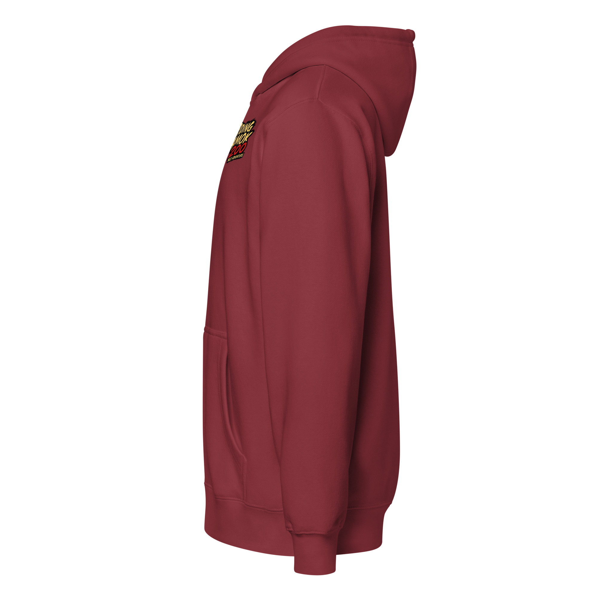 Dragon 200 Women's Premium Full-Zip Hoodie - Image 15