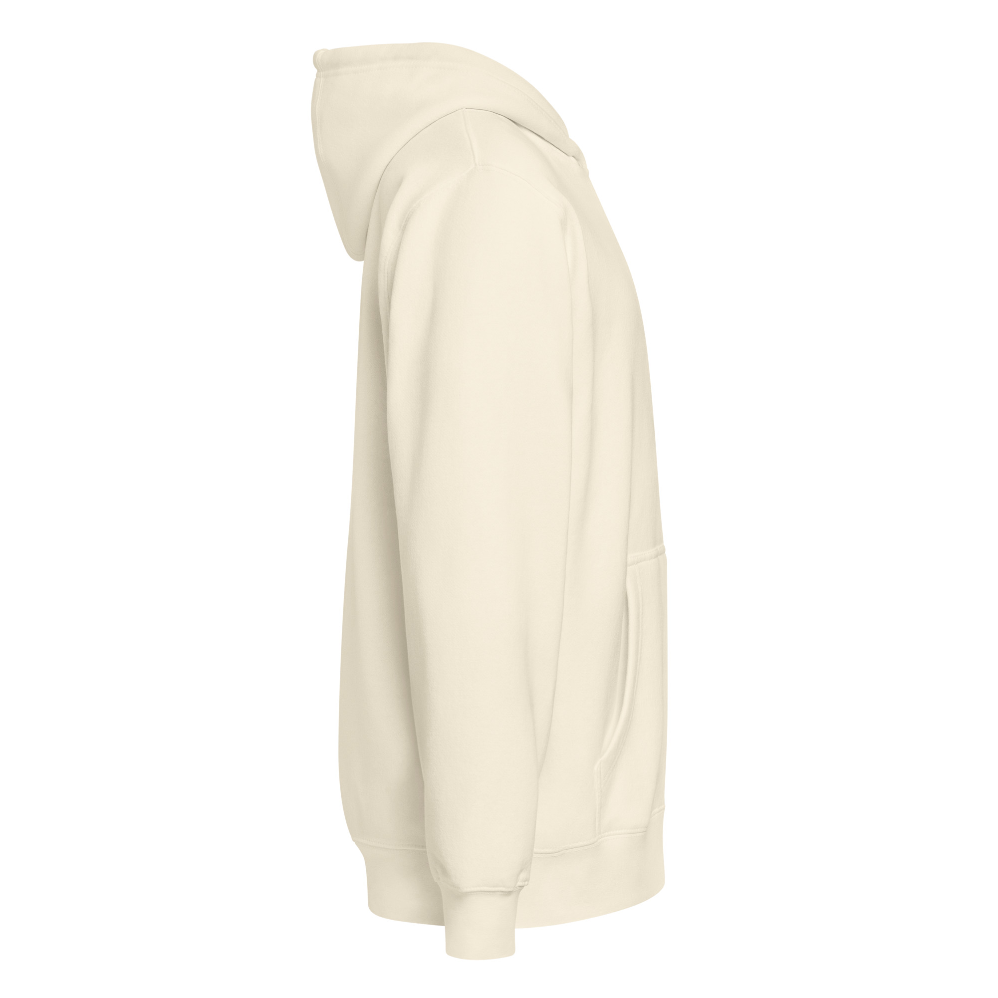 Dragon 200 Women's Premium Full-Zip Hoodie - Image 39