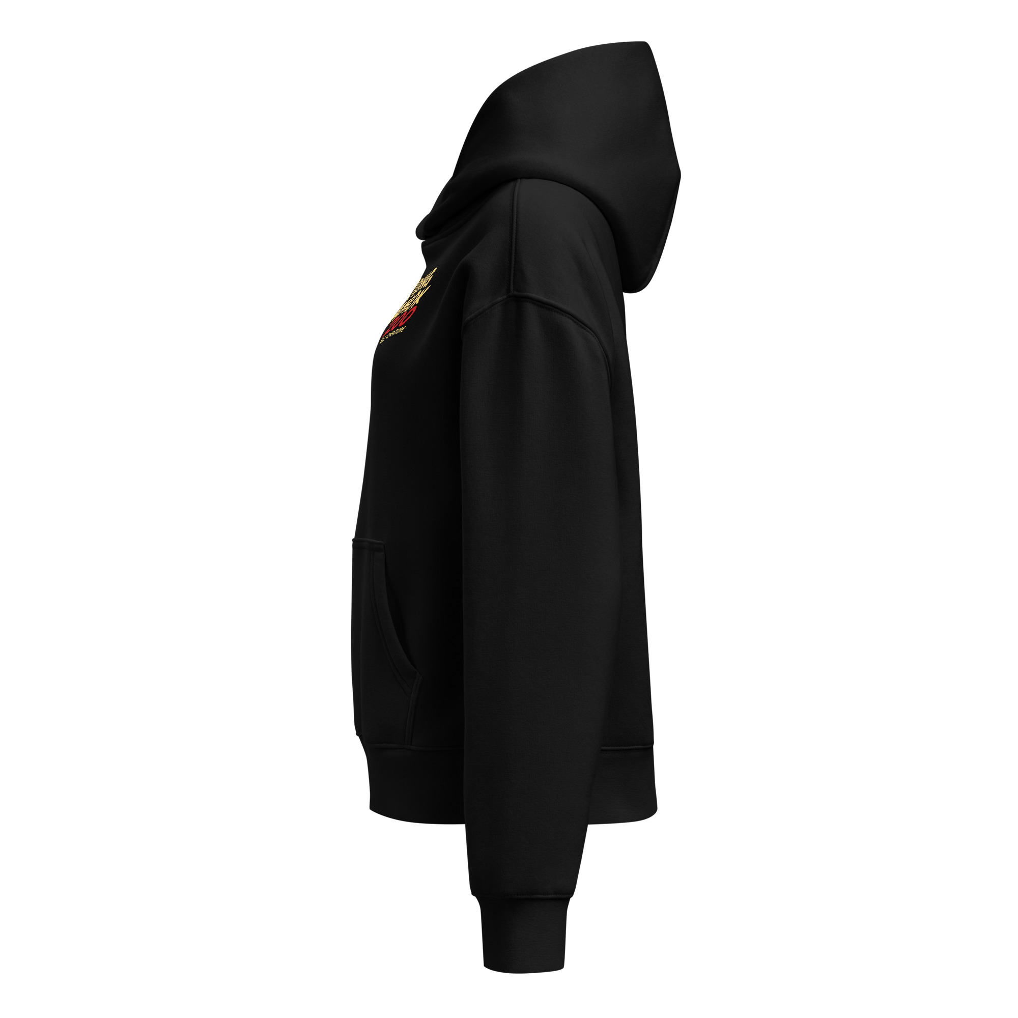 Dragon 200 Heavyweight Pullover Hoodie - Image 11